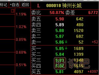 股票盘口挂单的大压单以及大托单解读