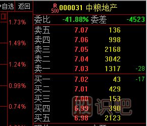 股票盘口挂单的大压单以及大托单解读