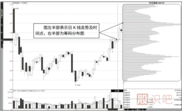 静态的筹码分布图