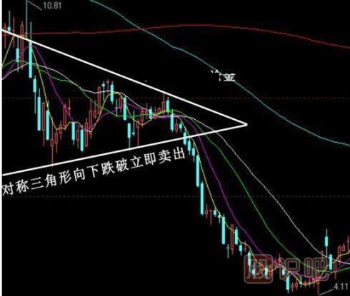 矛形双腔吸虫形态图图片