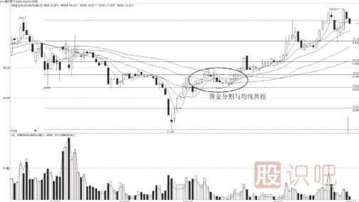 黄金分割与均线确定短线买点